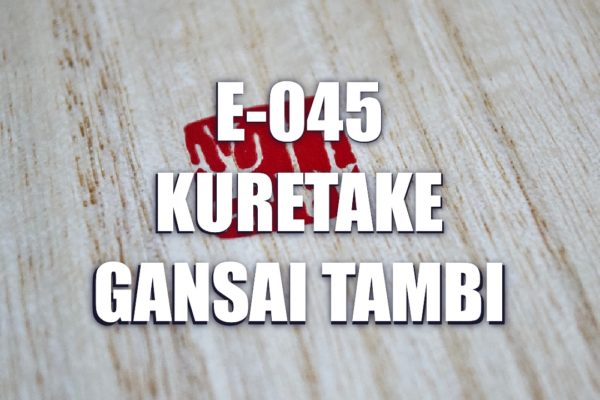 E045 – Kuretake Gansai Tambi