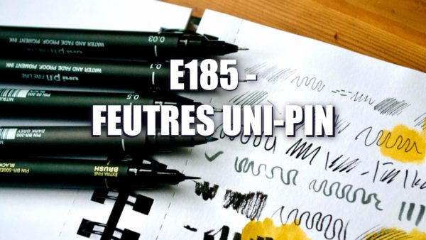 E185 – Feutres Uni Pin