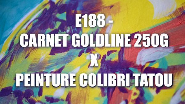 E188 – Carnet Goldline 250g X Peinture Colibri Tatou