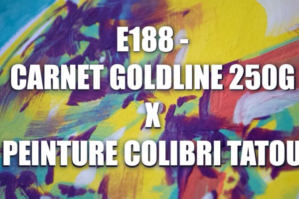 E188 – Carnet Goldline 250g X Peinture Colibri Tatou