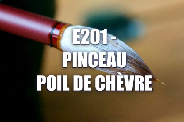E201 – Pinceau Poil de Chèvre