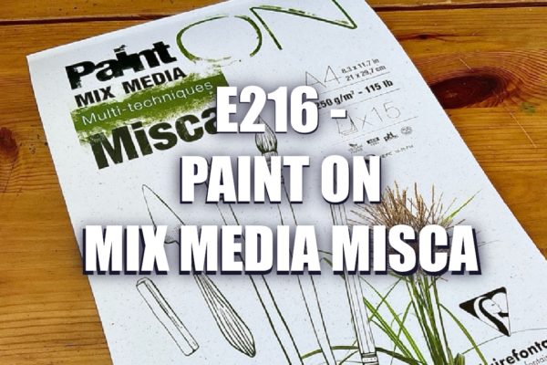 E216 – Paint On Mix Media Misca