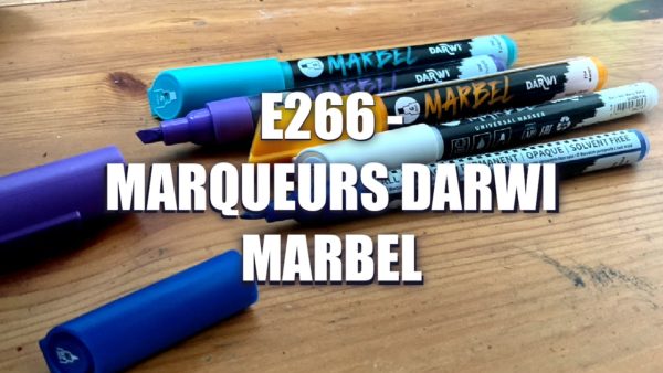E266 – Marqueurs Darwi Marbel