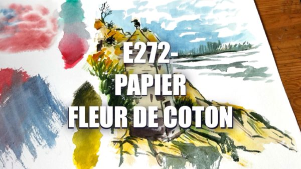 E272 – Papier Fleur de Coton
