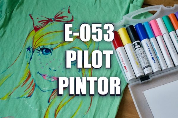 E053 – Pilot Pintor