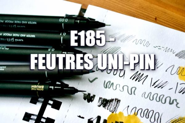 E185 – Feutres Uni Pin