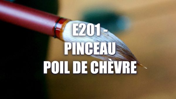 E201 – Pinceau Poil de Chèvre