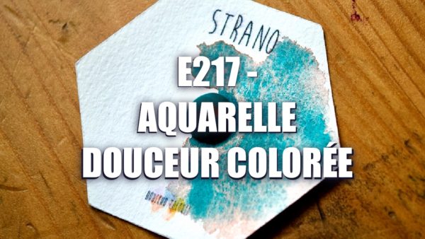E217 – Aquarelle Douceur Colorée