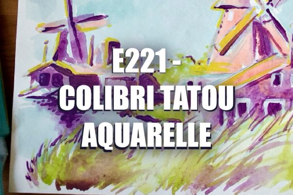 E221 – Colibri Tatou Aquarelle