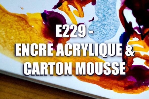 E229 – Encre Acrylique & Carton Mousse