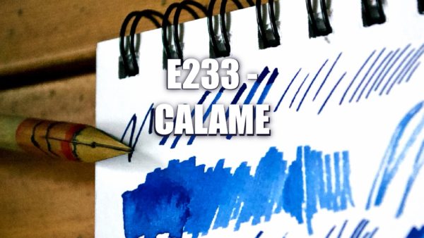 E233 – Calame