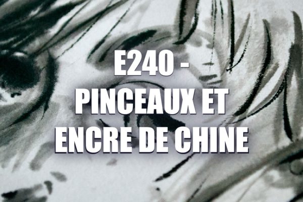 E240 – Pinceaux et encre de chine