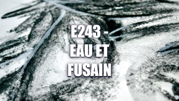 E243 – Eau et Fusain