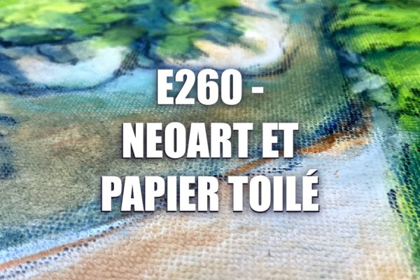 E260 – Neoart et Papier Toilé