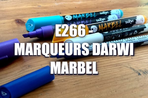 E266 – Marqueurs Darwi Marbel
