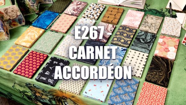 E267 – Carnet Accordéon