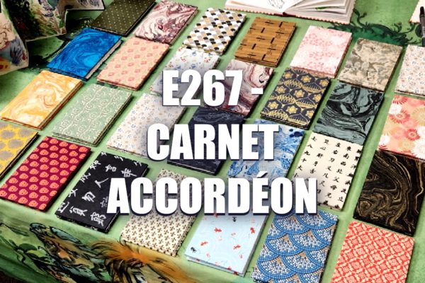 E267 – Carnet Accordéon
