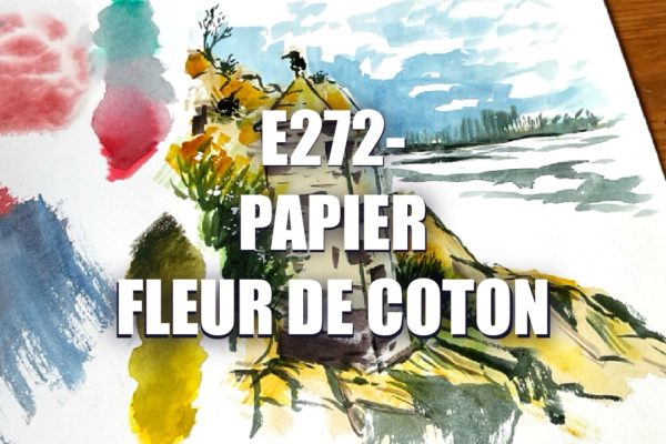 E272 – Papier Fleur de Coton