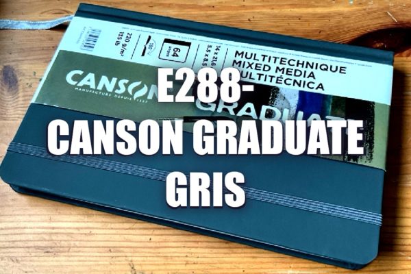 E288 – Canson Graduate Gris
