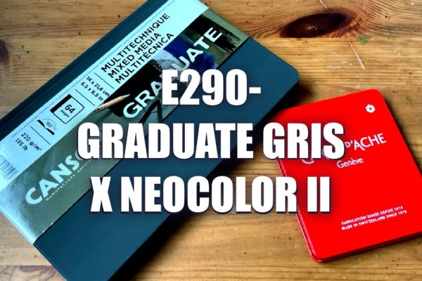 E290 – Graduate Gris X Neocolor 2