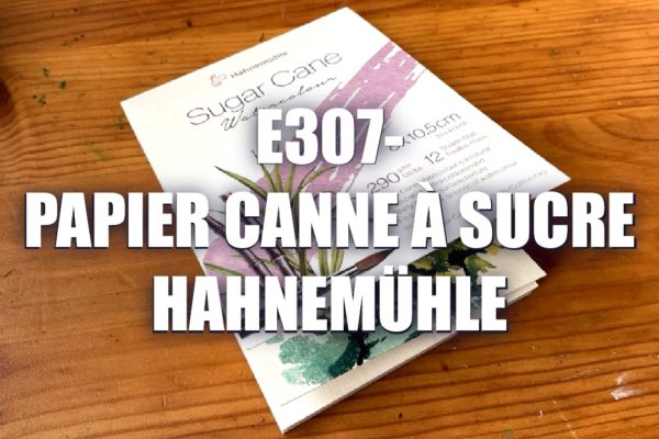 E307 – Papier Canne à Sucre Hahnemühle