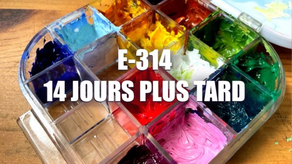 E314 – Palette hermetique + huile hydrosoluble 14 jours plus tard