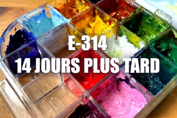 E314 – Palette hermetique + huile hydrosoluble 14 jours plus tard