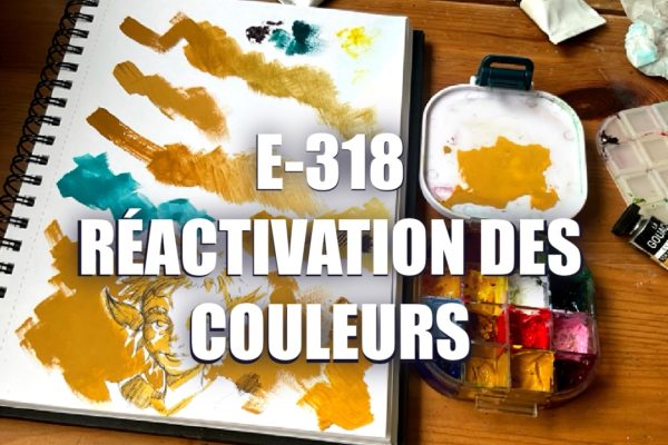 E318 – Réactivation des couleurs