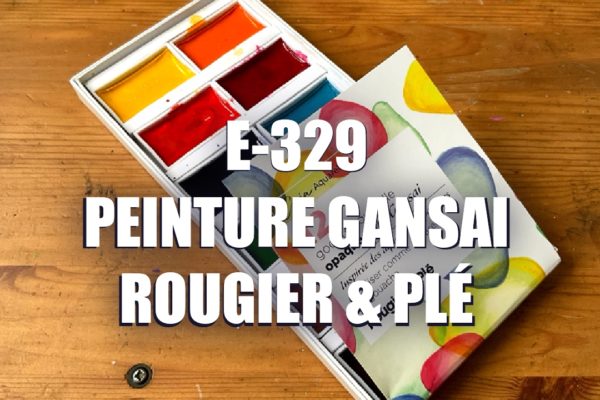 E329 -Peinture Gansai Rougier & Plé