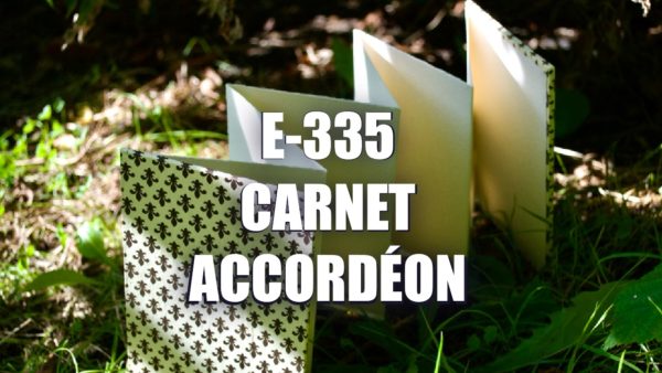 E335 – Carnet Accordéon