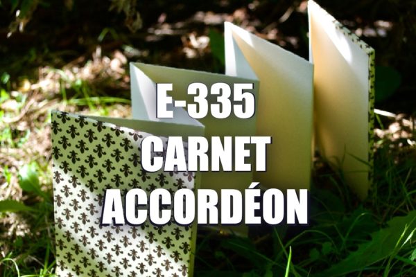 E335 – Carnet Accordéon
